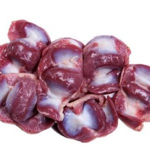 Chicken Gizzard