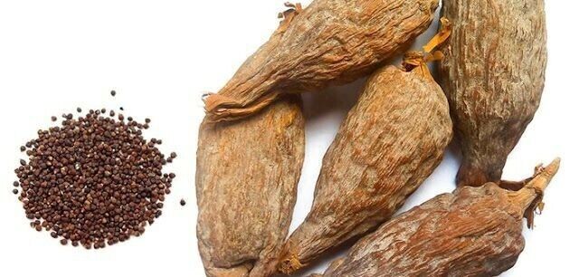 Alligator Pepper – Authentic West African Spice | Iso African FoodMarket, Atlanta