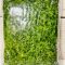 Premium frozen Nigerian ewedu (jute) leaves for soups and stews
