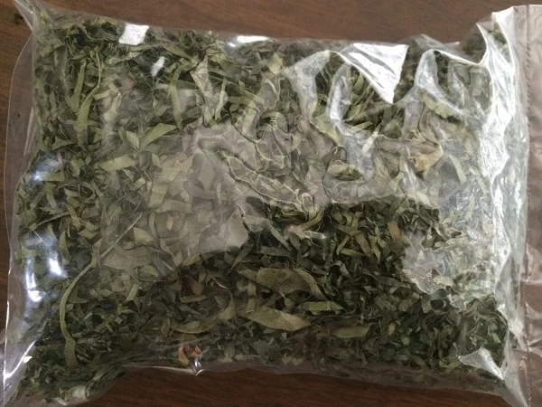 Utazi Leaves – Bitter Nigerian Herb for Soups and Medicinal Use, Sold in Atlanta
