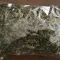 Utazi Leaves – Bitter Nigerian Herb for Soups and Medicinal Use, Sold in Atlanta