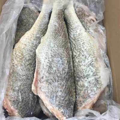 Croaker Fish - 1 box (Frozen)