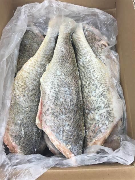 Croaker Fish – 1 box (Frozen)