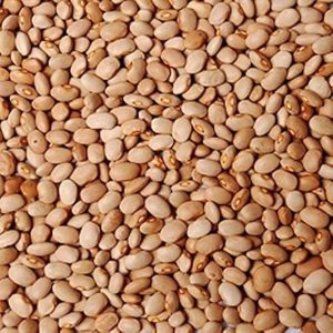 Honey Beans - Oloyin 50lbs