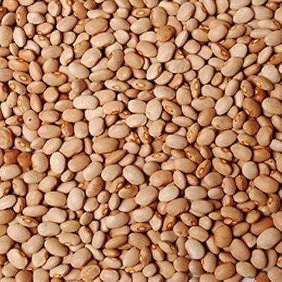 Honey Beans - Oloyin 20lbs