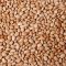 Honey Beans - Oloyin 20lbs
