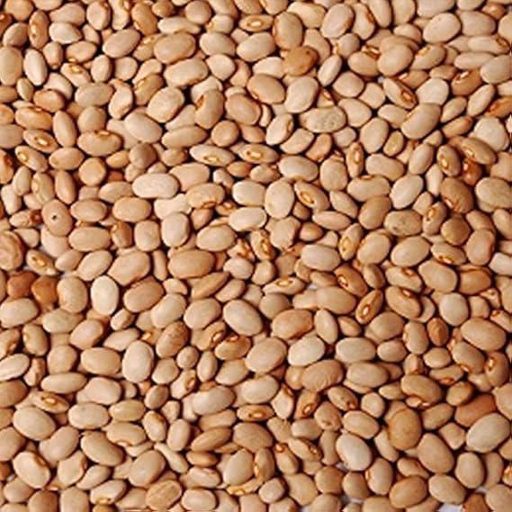 Honey Beans – Oloyin 20lbs