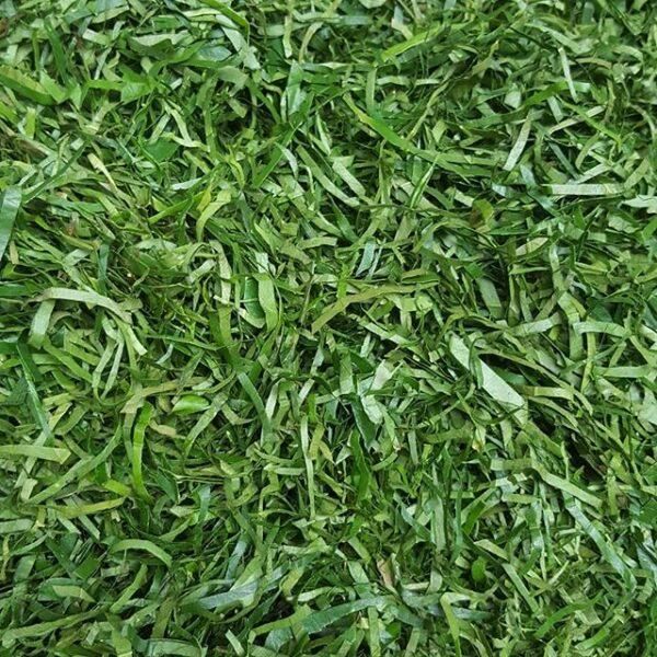 Okazi Leaves (ERU-Afang Leaves)