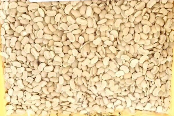 Peeled beans 10lbs