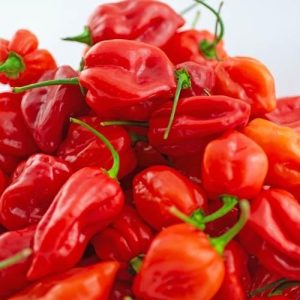 Fresh Habanero