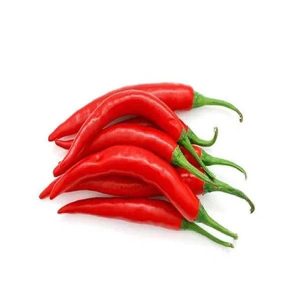 Shombo - Pepper