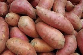 Sweet Potato – White (per lbs)