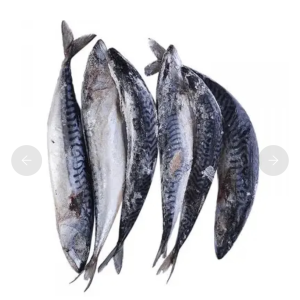 Macreel Frozen Fish 4pcs